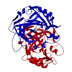Image of CATH 1znc