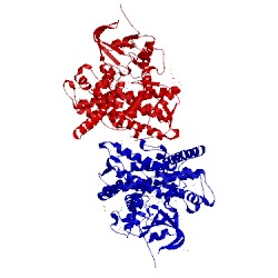 Image of CATH 1zo4