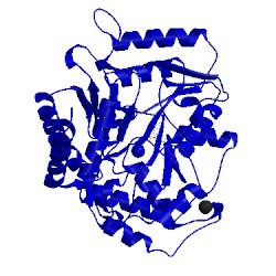 Image of CATH 1zob