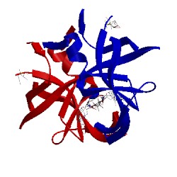 Image of CATH 1zpk