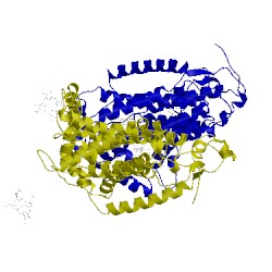 Image of CATH 1zrt