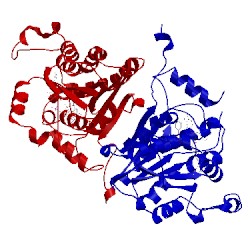 Image of CATH 1zsn