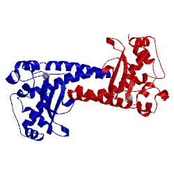 Image of CATH 1zsp