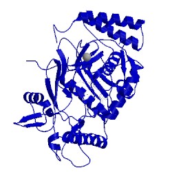 Image of CATH 1zvi