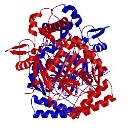 Image of CATH 1zvl