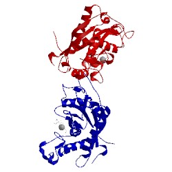 Image of CATH 1zxc