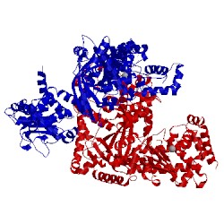 Image of CATH 1zxv