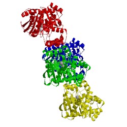 Image of CATH 1zxy