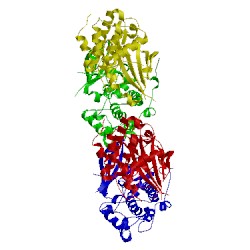 Image of CATH 1zyc