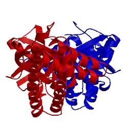 Image of CATH 1zym