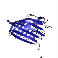 Image of CATH 2.40.370.10