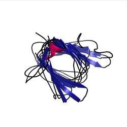 Image of CATH 2.60.20.30