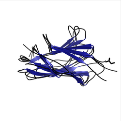 Image of CATH 2.60.40.350