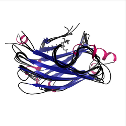 Image of CATH 2.60.40.710