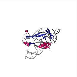 Image of CATH 2.60.40.820