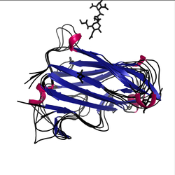 Image of CATH 2.60.90.10