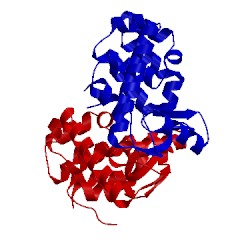 Image of CATH 201l