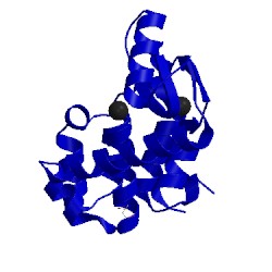 Image of CATH 241l