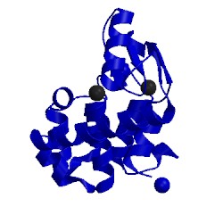 Image of CATH 260l