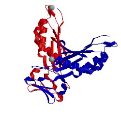 Image of CATH 2a0s