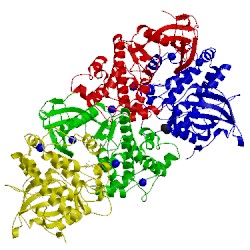 Image of CATH 2a2a