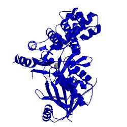 Image of CATH 2a2d