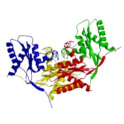 Image of CATH 2a2l