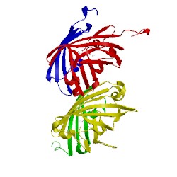 Image of CATH 2a52