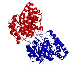 Image of CATH 2a6l