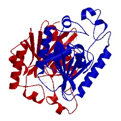 Image of CATH 2a6p