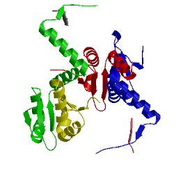 Image of CATH 2a6q