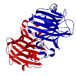 Image of CATH 2a6v
