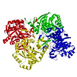 Image of CATH 2a7r