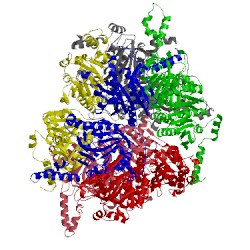 Image of CATH 2a7s