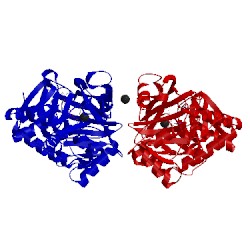 Image of CATH 2a89