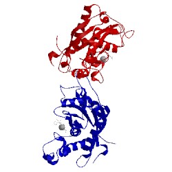 Image of CATH 2a8h