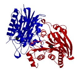 Image of CATH 2a8j