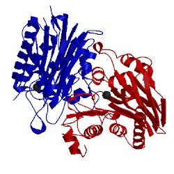 Image of CATH 2a8m