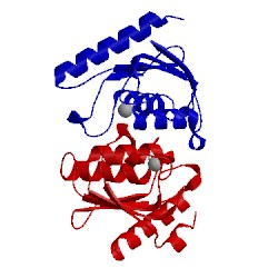 Image of CATH 2a8n