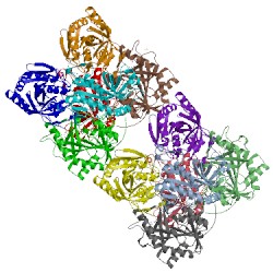 Image of CATH 2a8y