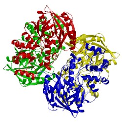 Image of CATH 2a9g