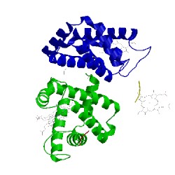 Image of CATH 2aa1