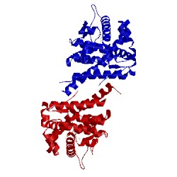 Image of CATH 2aa6