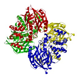 Image of CATH 2aaf