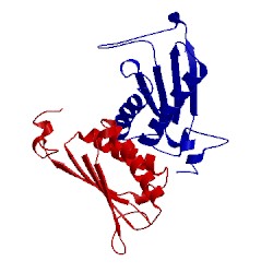 Image of CATH 2aaj