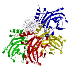 Image of CATH 2ac0