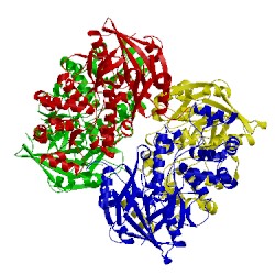 Image of CATH 2aci