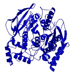 Image of CATH 2ack