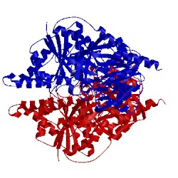 Image of CATH 2ad5