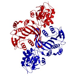 Image of CATH 2adm